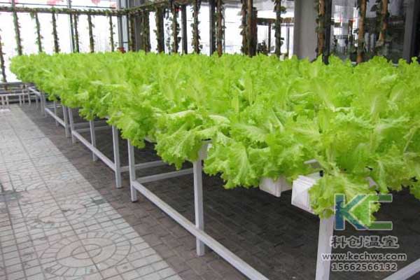 玻璃鋼冷卻塔水溫對制冷機組的影響