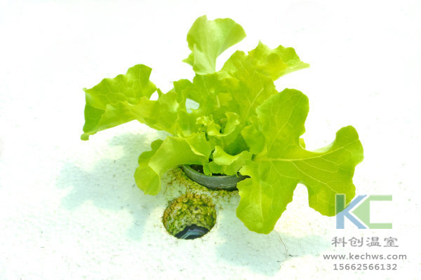 涼水塔系統工作原理和維護好處,涼水塔工作原理圖